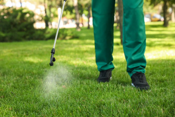Lafayette, CA Pest Control Company