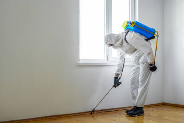 Best Best Pest Control Companies  in Lafayette, CA