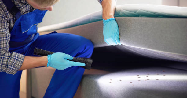 Best Affordable Pest Control Services  in Lafayette, CA