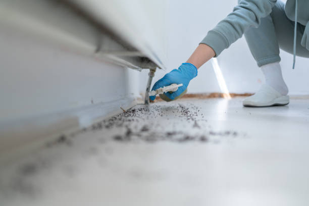  Lafayette, CA Pest Control Pros